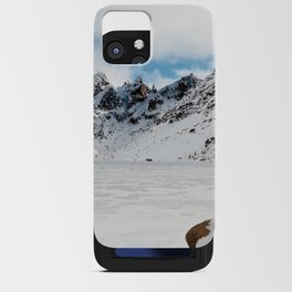 Argentina Photography - A Black Cat In The Snowy Mountain Terrain iPhone Card Case