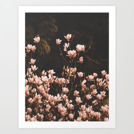 Magnolia Flowers - Elegant Blush Pink Floral photography by Ingrid Beddoes Art Print