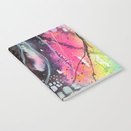 Alignment of the stars Notebook