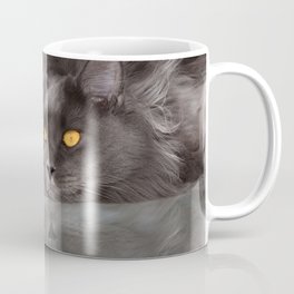 Photos Maine Coon Cats New year gray Animals Stari Coffee Mug | Present, New, Love, Gray, Idea, Animal, Staring, Funny, Graphicdesign, Year 