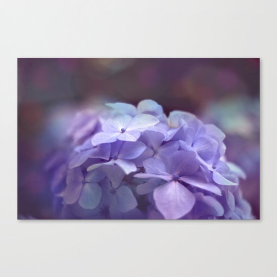 butterflies flower Canvas Print