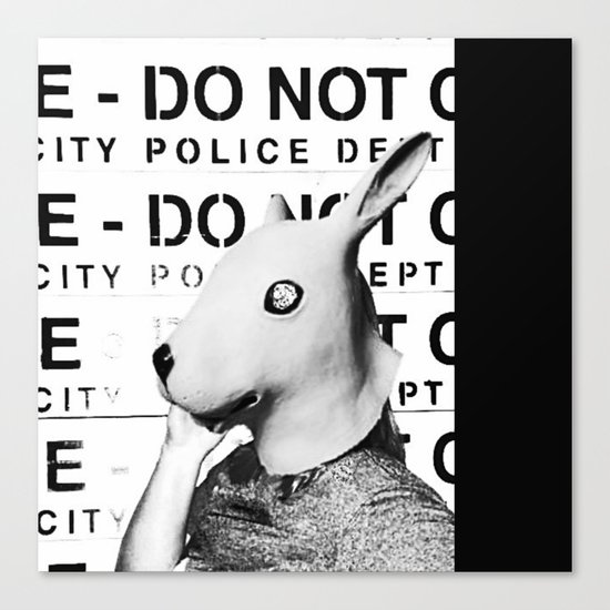 Land of No Rules Canvas Print