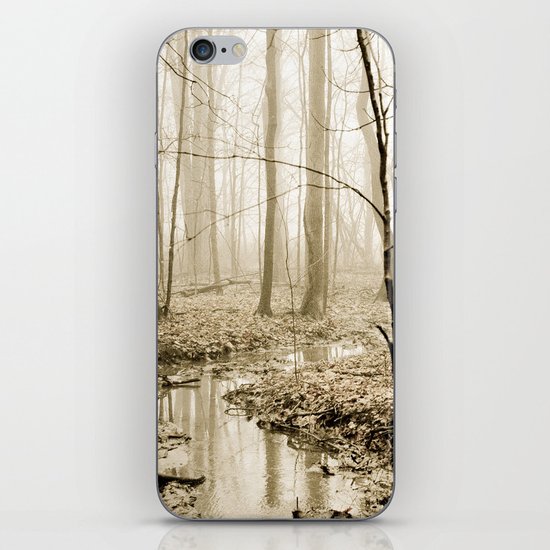 Flow With Life iPhone & iPod Skin