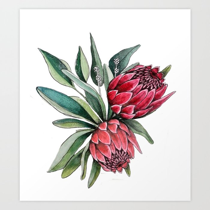 Protea watercolor Art Print by magentarose | Society6