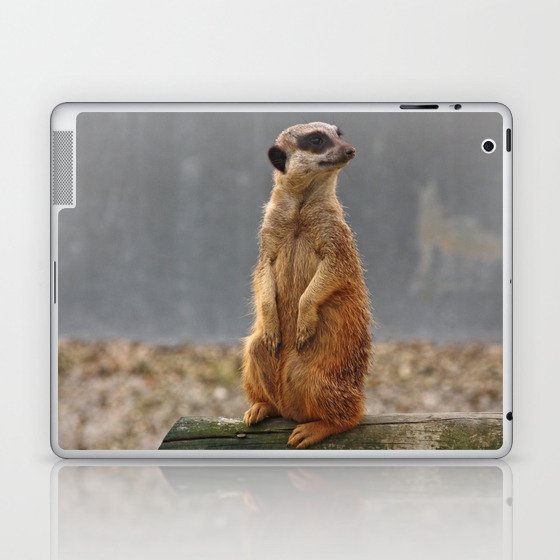 Meerkat No.1 Laptop & iPad Skin