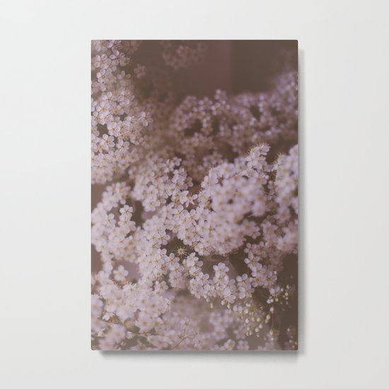 White Flowers Metal Print