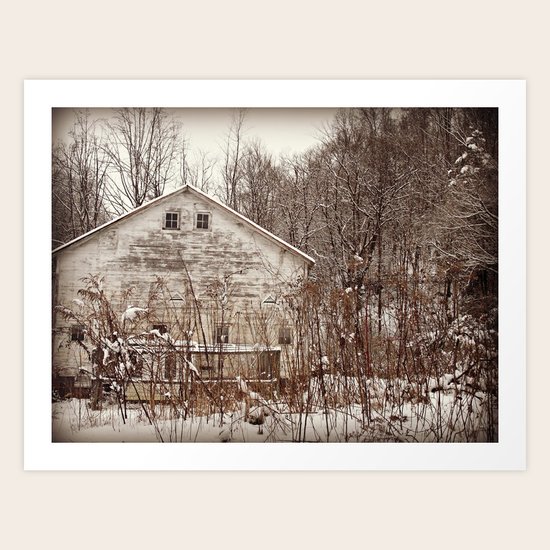 Faded Beauty Art Print