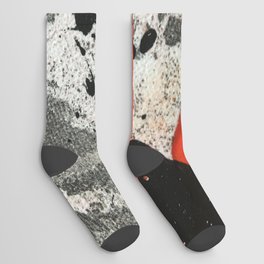 Canvas Style! manchas all over your place ;) Socks