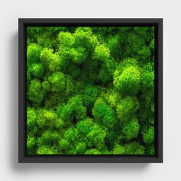 Green Moss - Interior Design Framed Canvas