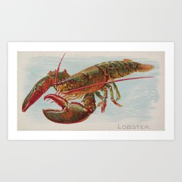 Vintage Illustration of a Lobster (1889) Art Print