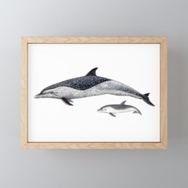 Pantropical spotted dolphin Framed Mini Art Print