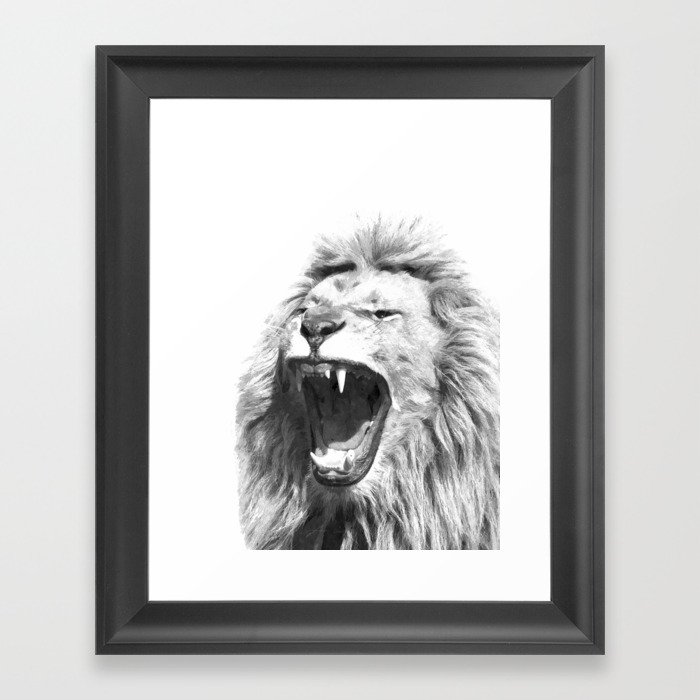 Black White Fierce Lion Framed Art Print