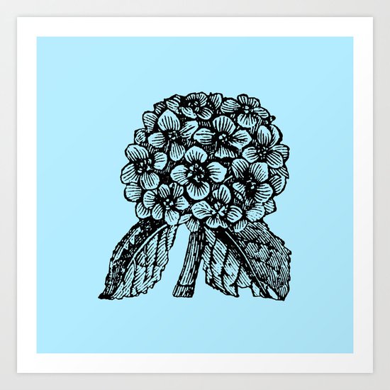 Blue Hydrangea Art Print