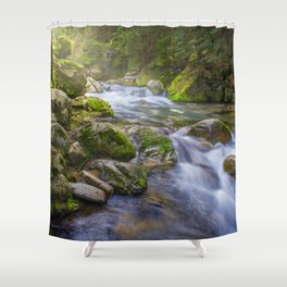 Forest moss with stream Shower Curtain