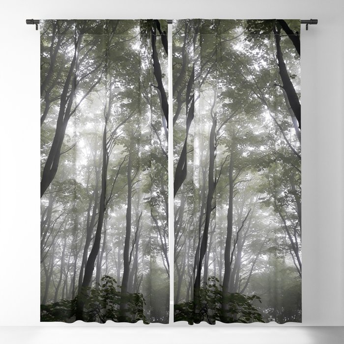 Misty forest autumn outdoors Blackout Curtain