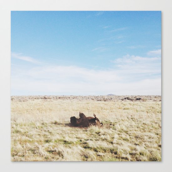 ROFL Bison Canvas Print