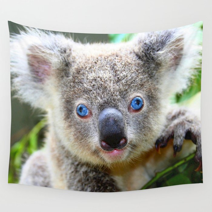 Elegant Baby Boy's Joey Koala Toy - Blue One-Size