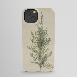 Botanical Juniper iPhone Case