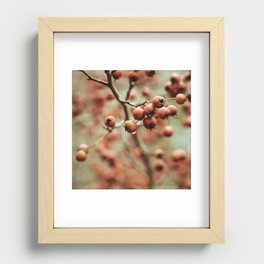 crabapples Recessed Framed Print