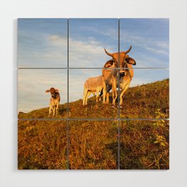 Mama and Baby Cows Stare Wood Wall Art