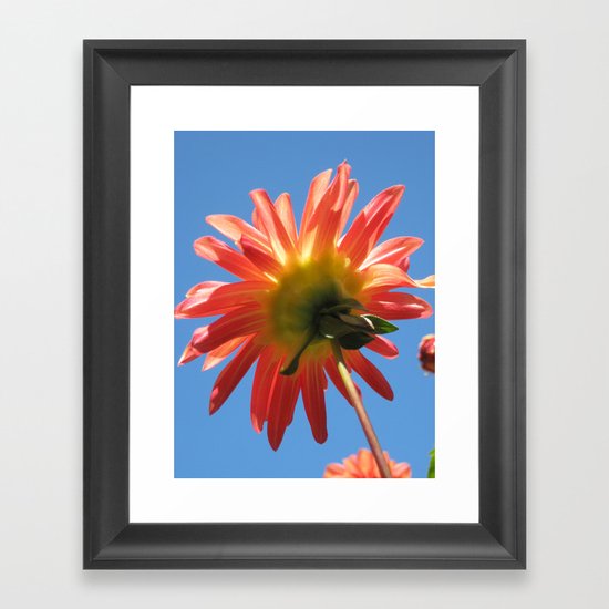 Sun Worshiper Framed Art Print