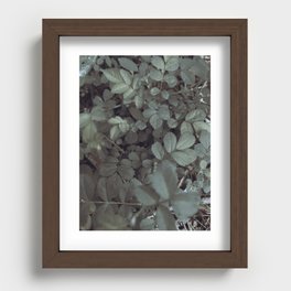 Flora // Focus Recessed Framed Print