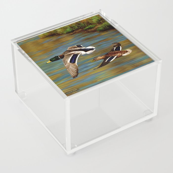 Mallard Ducks in Flight Acrylic Box