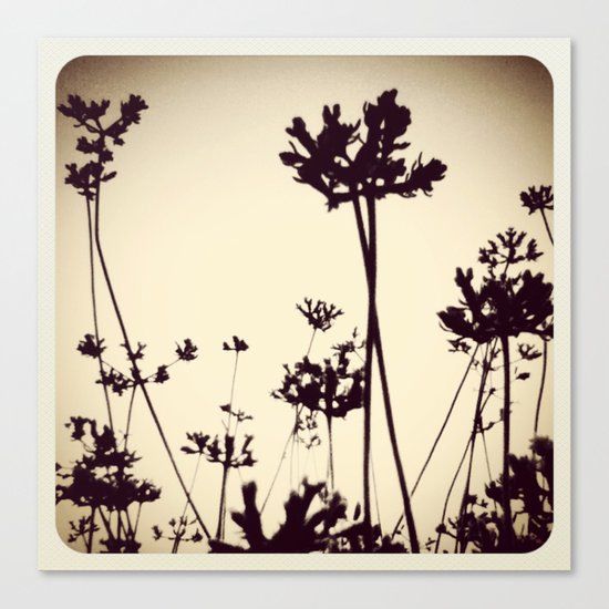 Black & White Canvas Print