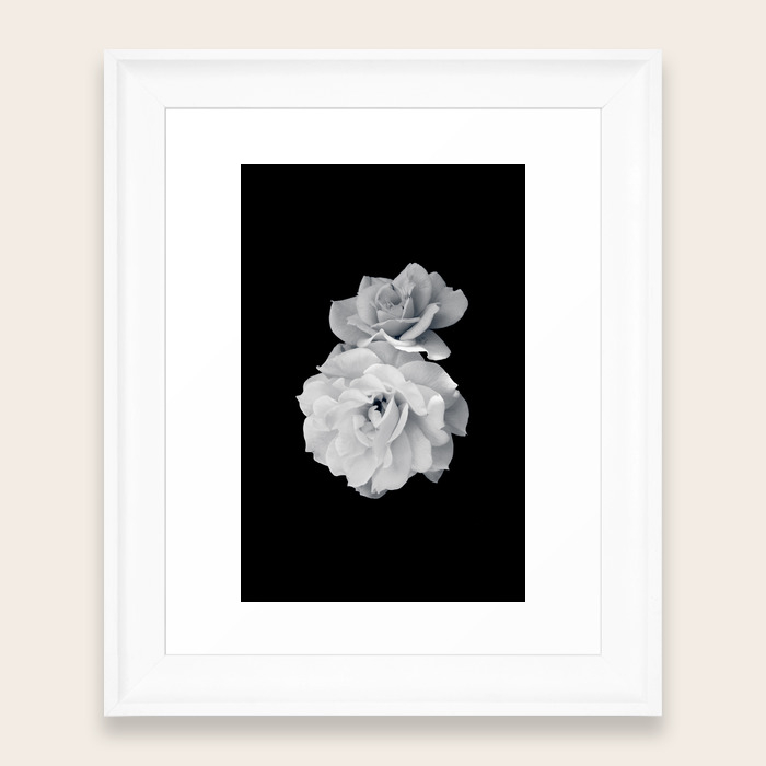 Black And White Roses Framed Art Print By Dukeofme Society6