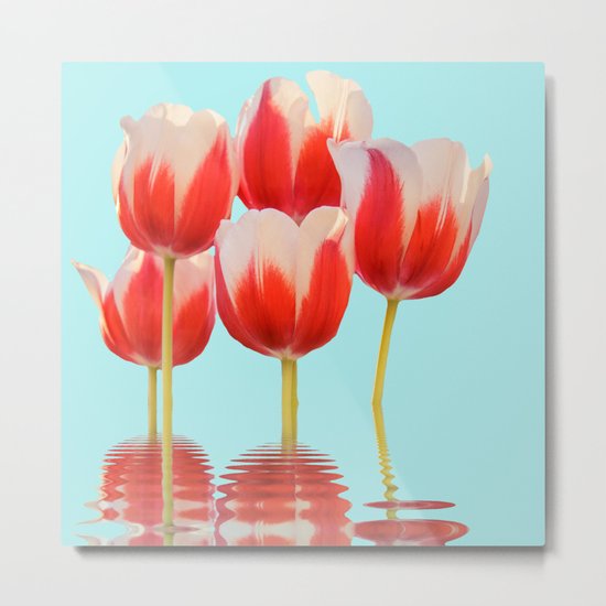Spring Tulip Flowers Metal Print