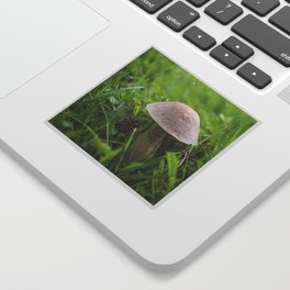 Mushroom in the Morning Dew by Althéa Photo Sticker