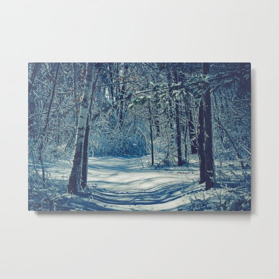 Into The Woods Metal Print