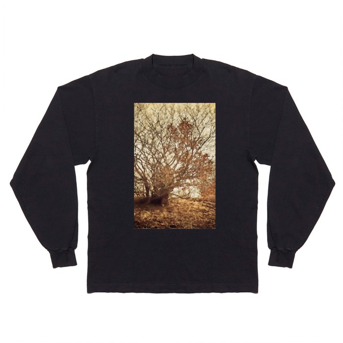 Gethsemane Garden under fiery sky Long Sleeve T Shirt