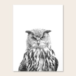 Black White Animal Canvas Prints For Any Decor Style Society6