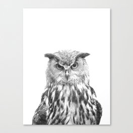 Black and white owl animal portrait Canvas Print