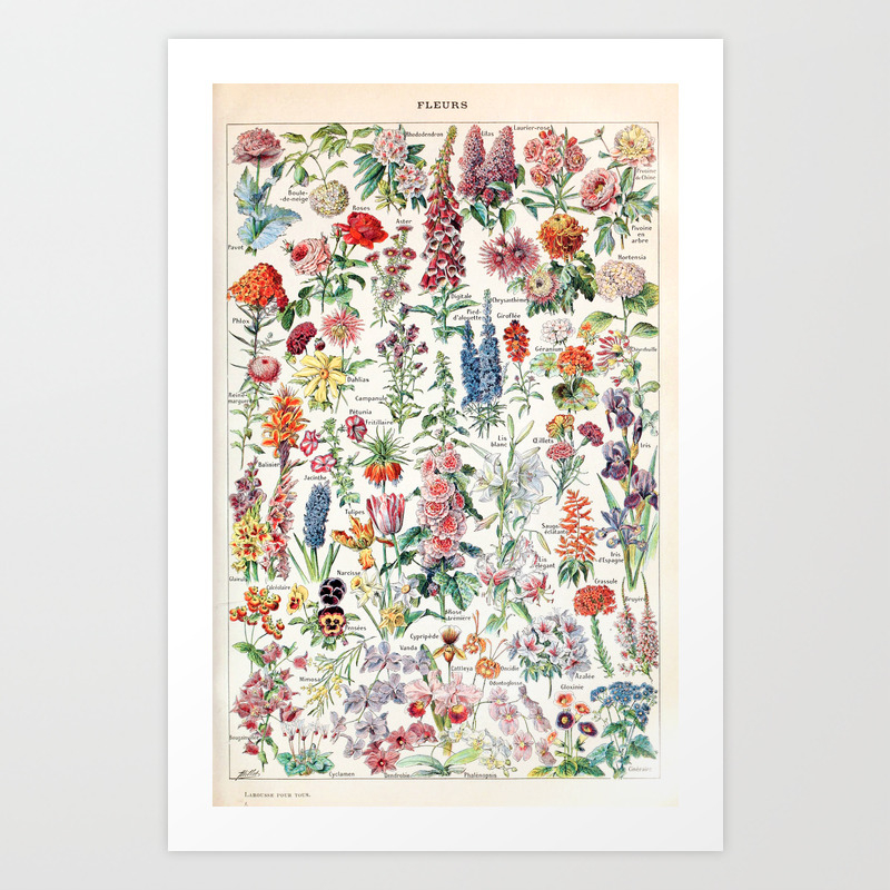 Adolphe Millot - Fleurs pour tous - French vintage poster Art Print