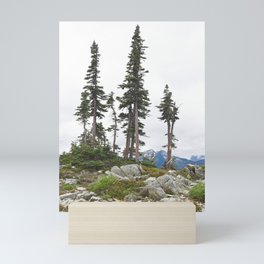 Alpine Trees Bonsai Mountain Trail Hiking Paradise Landscape Pacific Northwest Rocky Summit Mini Art Print
