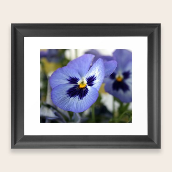 Flower Framed Art Print