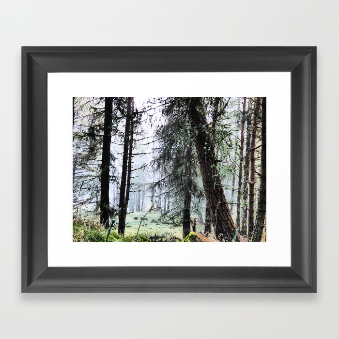Scottish Pine Forest Misty View in I Art and Afterglow  Framed Art Print