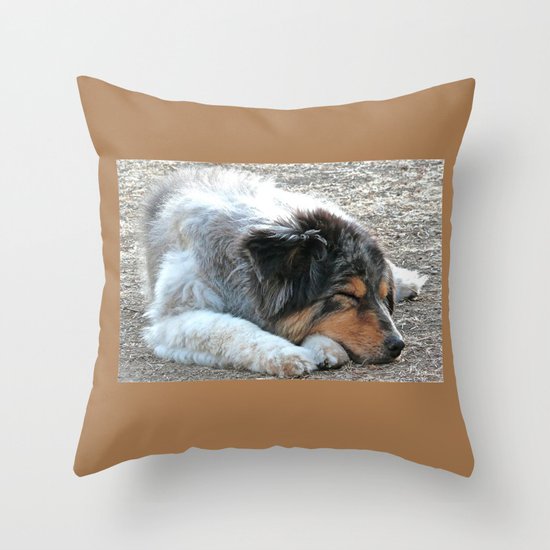 Zzzzz Throw Pillow