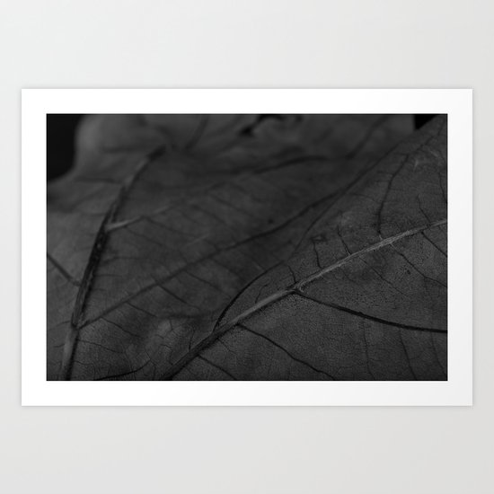 Leafscape Art Print