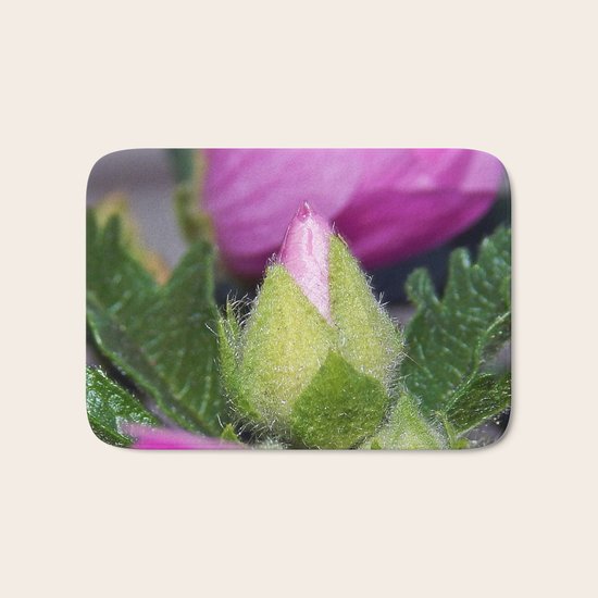 Musk Mallow Bud Bath Mat