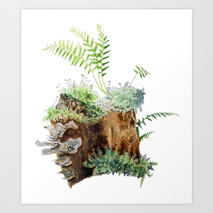 Mossy Stump Art Print