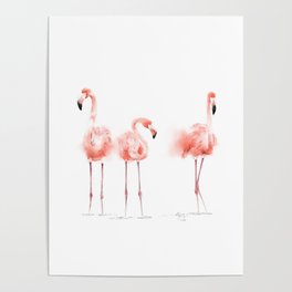 3 Flamingos Poster