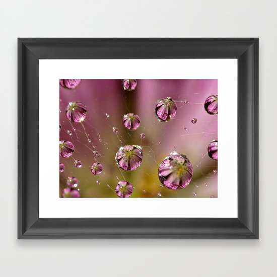 who knew a web could hold such treasures? Framed Art Print