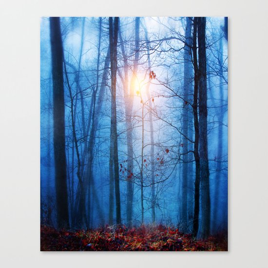 Color & Nature II Canvas Print