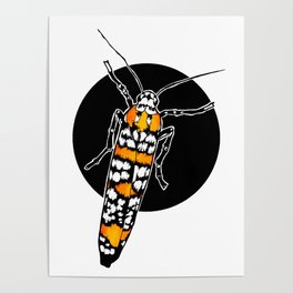 Ailanthus Webworm Moth (Atteva aurea) | BUGSPOTTING SERIES Poster