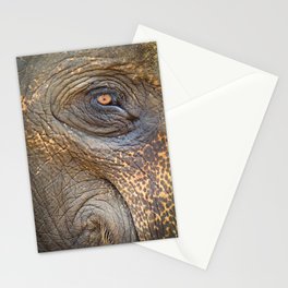Close-up Elephant eye Stationery Cards
