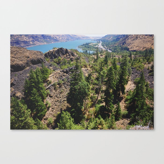 From the Tops of the Trees Canvas Print