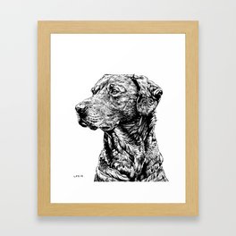 Labrador Retriever Framed Art Print